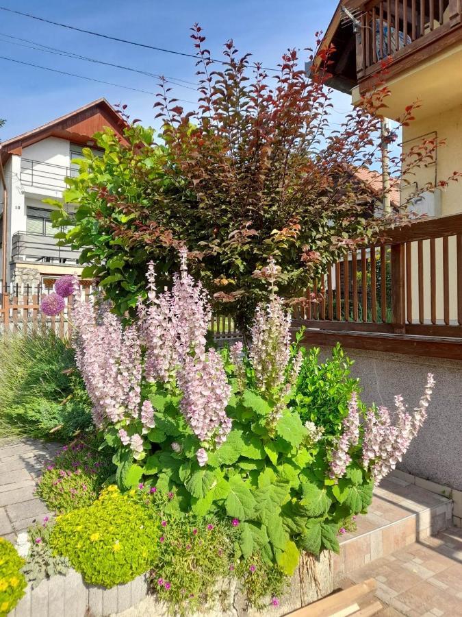 Harmonia Vendeghaz 100 Meterre Az Igali Gyogyfuerdotol Apartment Exterior photo