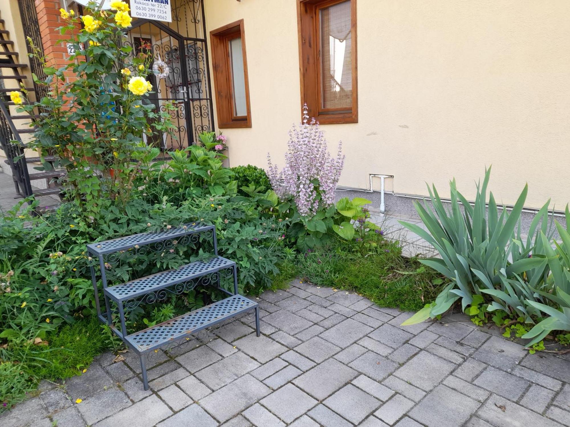 Harmonia Vendeghaz 100 Meterre Az Igali Gyogyfuerdotol Apartment Exterior photo
